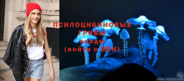 мескалин Алексин