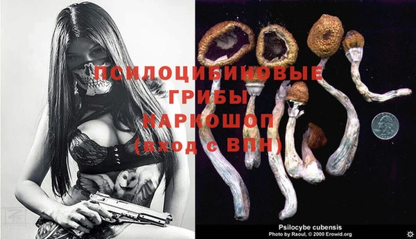 мескалин Алексин