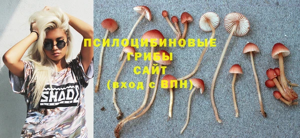 мескалин Алексин