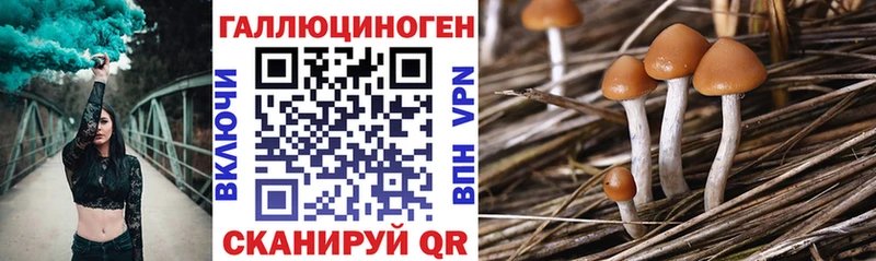 Галлюциногенные грибы GOLDEN TEACHER  закладки  Людиново 